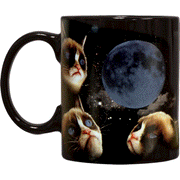 Grumpy Cat Moon Heat Sensitive Color Changing Coffee Mug