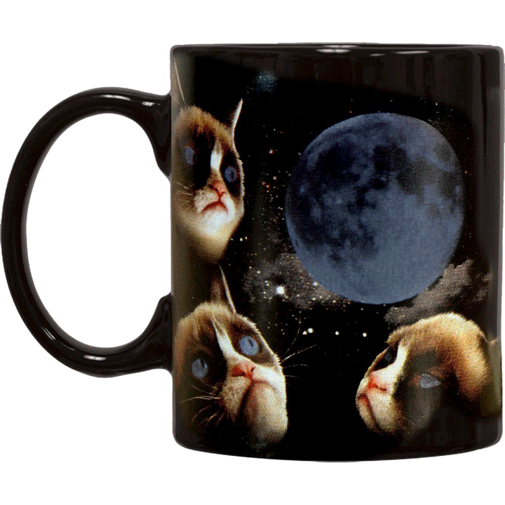Grumpy Cat Moon Heat Sensitive Color Changing Coffee Mug